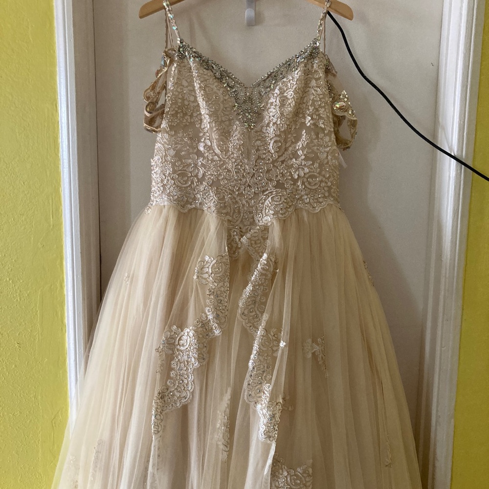 Quinceneara dress/ ball gown